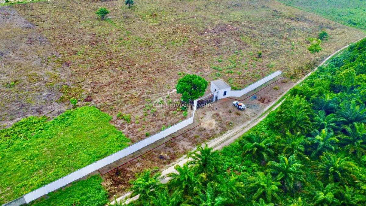 Large Expanse of Land