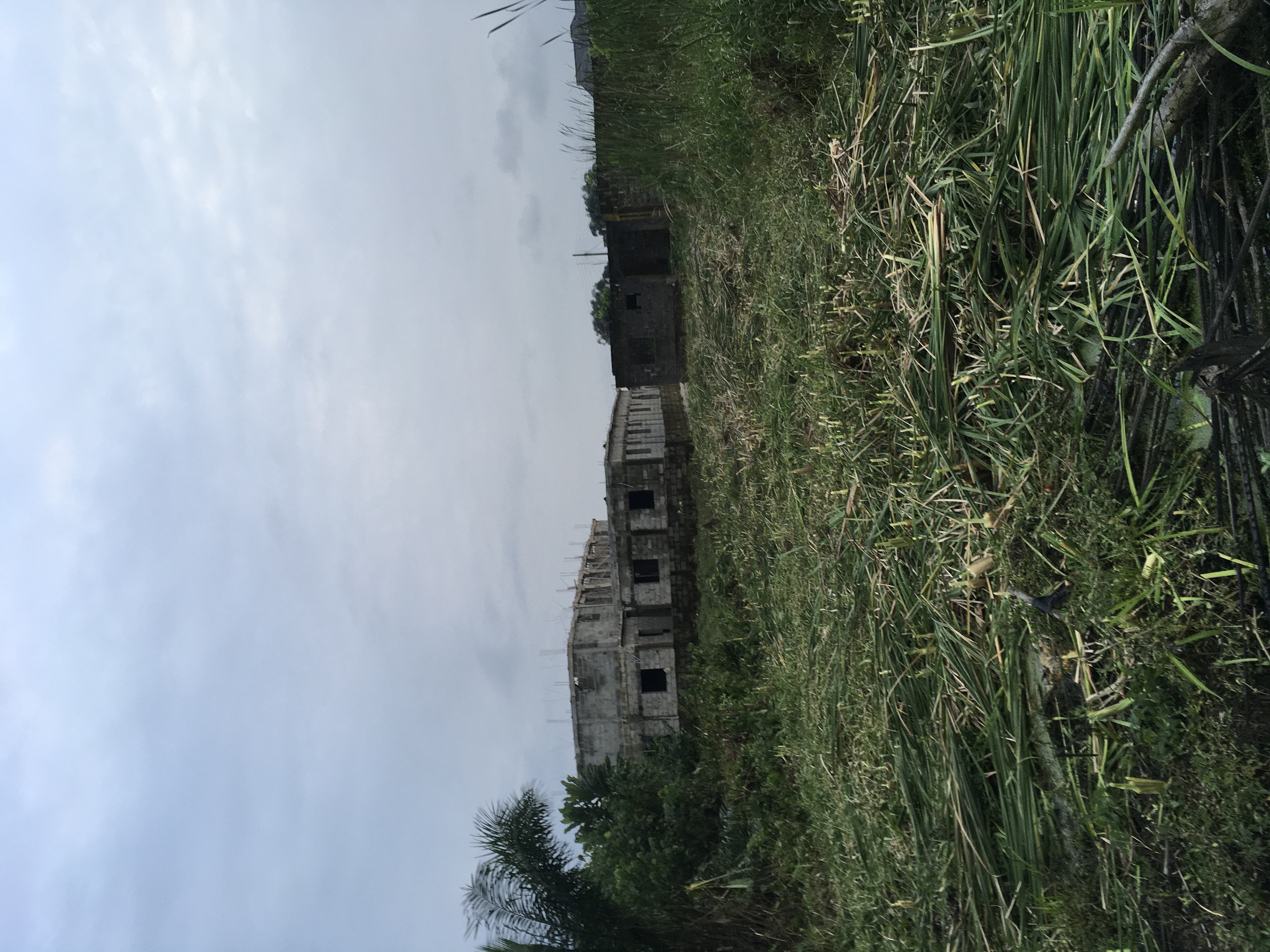 Half Plot Of Land