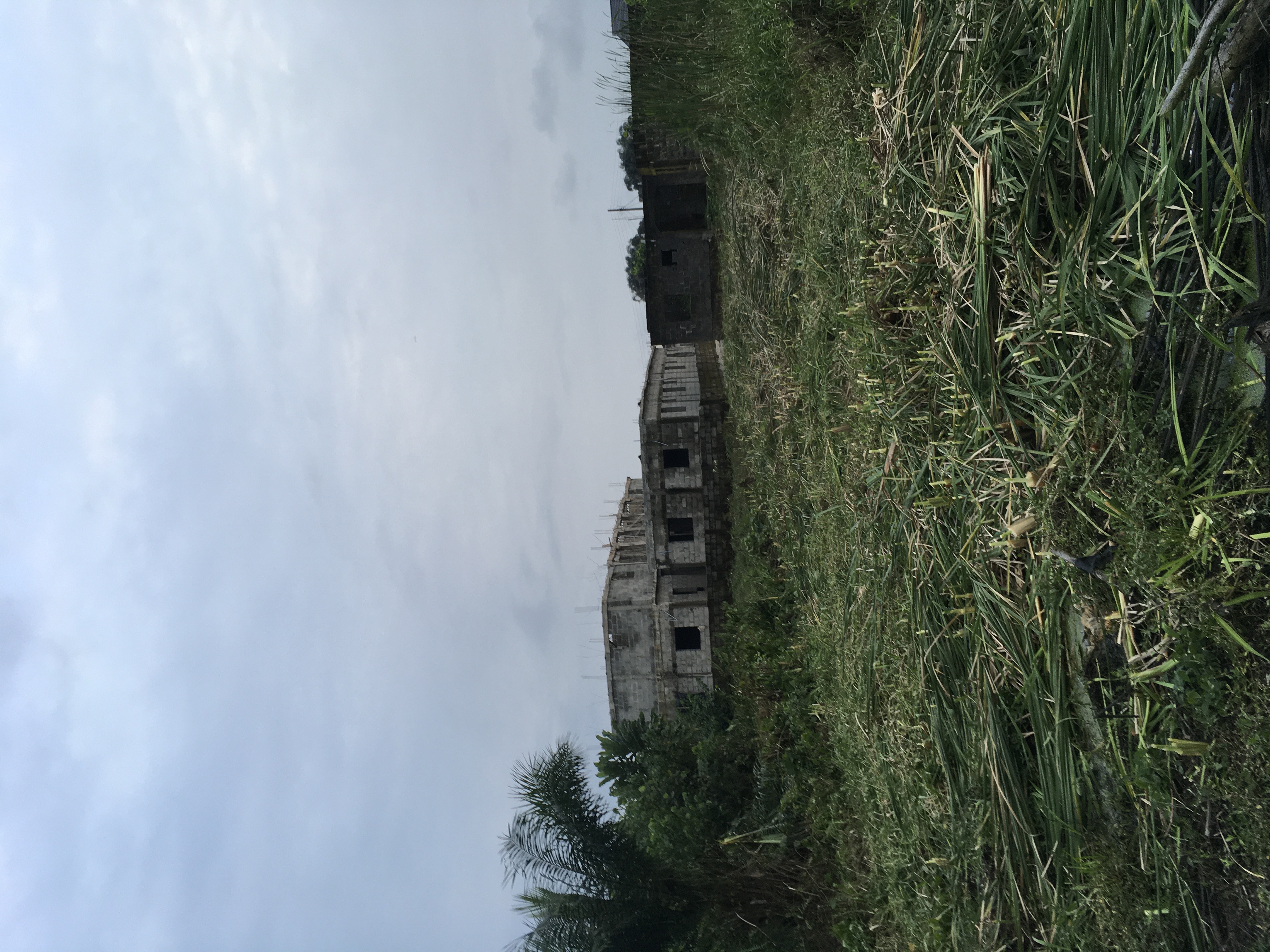 Half Plot Of Land