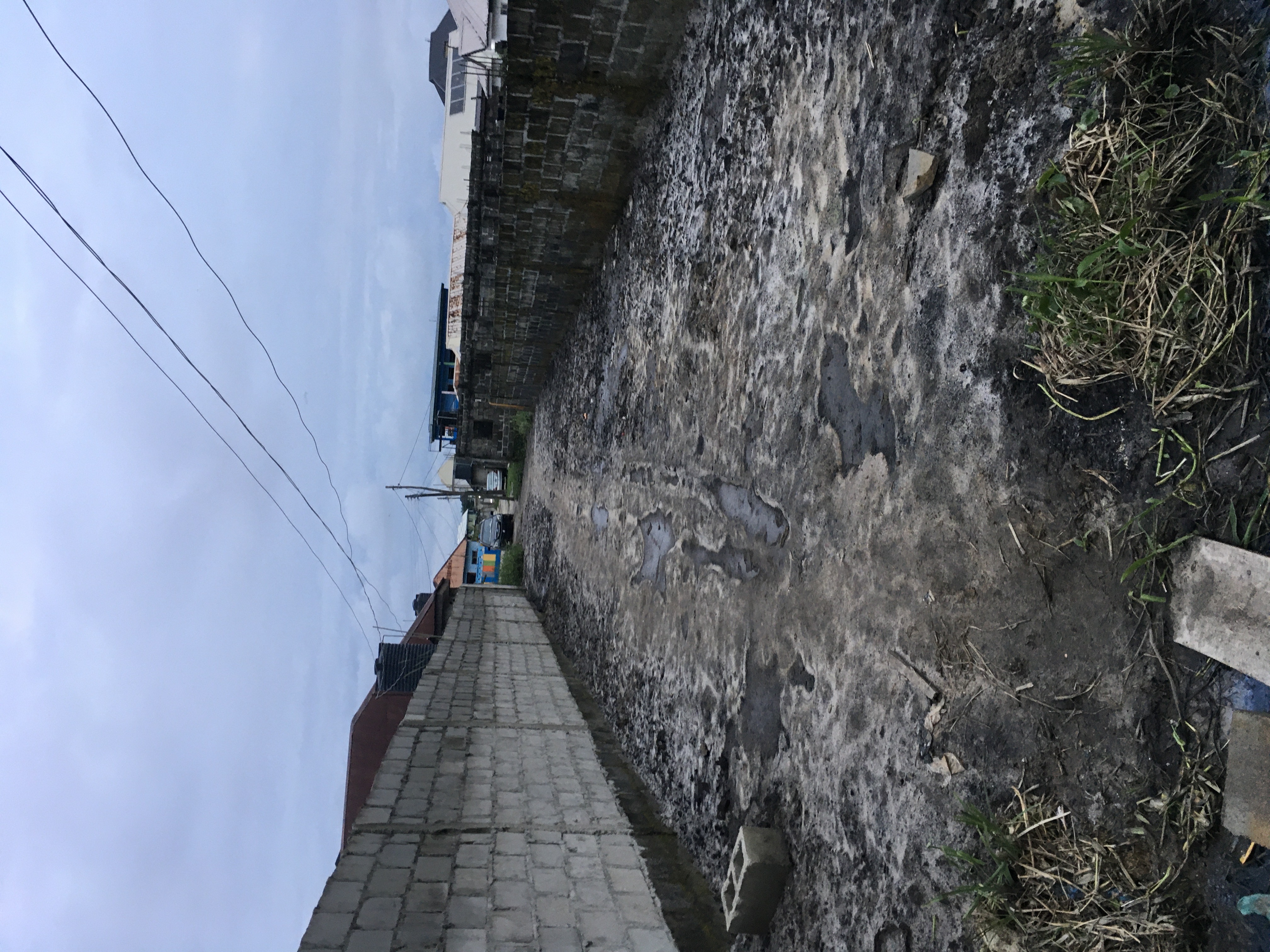 Half Plot Of Land